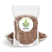 렌틸콩 렌즈콩 렌탈콩 브라운 1kg, 없음, 1개