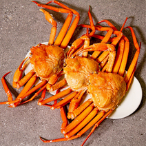 팜커머스 제철 홍게 2kg 수율 70 80, 단품