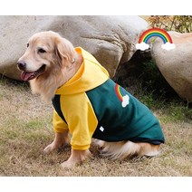 댕댕샤 유기견후원 무지개 후드티 대형견 귀여운 레인보우 후드티 강아지 옷, 그린