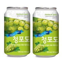 청포도에이드 350ml x 24캔 / 탄산과즙음료 에이드 뚱캔 캔음료