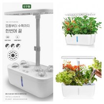 led 수경 식물 재배 가정용 야채 키우기