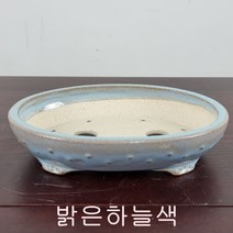 3. 손바닥정원 뽕뽕이타원 분재화분 승전분, 붉은군청색