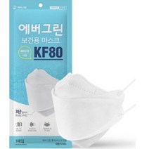 에버그린 황사 방역용 마스크 대형 KF80, 1개, 10개