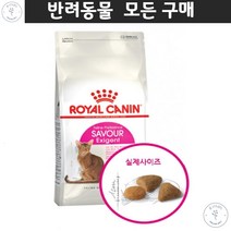뱅갈 애완건식푸드 개냥이사료 라팜 입맛까다로운 애묘용 기호충족 먹이 댕냥이 고양이전용밥 샴