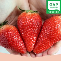 논산 대왕딸기 킹스베리 1kg (개당35g이상) 왕딸기 고당도 발송당일수확 GAP인증