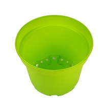 미스터허브 구문초 로즈제라늄 제라늄 모기퇴치식물 허브키우기, 화분15cm(연두색)