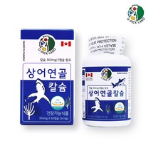 상어연골 어골칼슘 뼈건강 뼈에좋은 칼슘제 연골건강 Ca 뼈 치아 형성 청소년 임산부 노녕기 성장기 영양제 보충제 캡슐 호주산, 3개월