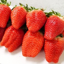 논산킹스베리 딸기농장 맛좋은 킹스베리딸기 1kg 대왕딸기, 1