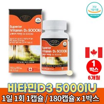 트레이더스 햇빛 메가 고함량 비타민d 5000iu 권장량 고르는법 VITAMIND3 60대 70대 80대 노인 할아버지 할머니 비타민D 영양제, 1박스