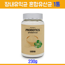 신 포스트 파라 바이오틱스 장 밀착 유산균 사균 사균체 락토바실러스 가세리 람노서스 분말 프롤린 코팅 RGG 유산균 가루 생착력 부착 아미노산 장건강, 230g, 1통