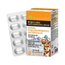 메이플트리 장용성 100억 프로바이오틱스 생유산균 500mgx60캡슐, 상세 설명 참조, 단일옵션