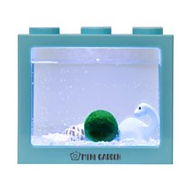 미니가든 LED 블럭수조 마리모 DIY 세트 마리모포함 블럭어항 마리모키우기세트, 3. 공룡 친구(블루), 2. 마리모M(12~15mm), 1. 자갈100g
