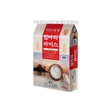 [당하]2022년산 햅찹쌀 찰지고 맛있는 국산 동진찹쌀 20kg, 1개