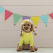 초코디 강아지 티셔츠 초코티, 바나나