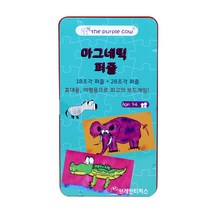 [브레인티저스] 마그네틱 퍼즐/ 3~6세 1명 인지능력게임