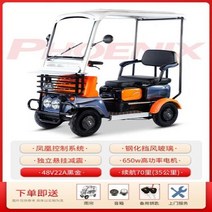 XK 피닉스 미니 버스 전기 사륜구동 노인 스쿠터 장애인 관광 파워 카, 48V22A black gold