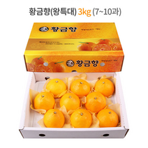 제주 황금향 선물세트 3kg (왕특대과) 7-10과 / 하우스 노지 고당도 귤 감귤 밀감 레드향 천혜향 카라향 청귤 수라향 신비향 가정용 추석 명절 설 감사 선물 조생 타이벡, 5kg (특대) 19-23과