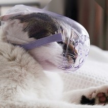 강아지고양이 얼굴덮개 입마개 마스크 물림방지마개 마스크 물림방지 헤드기어 안전한, L-large (머리둘레 30cm 이내 적합, 고양이 애완 동물 마우스 커버 - 투명 보라색