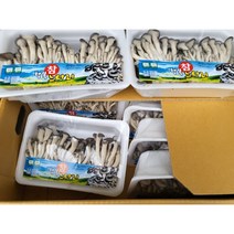 솔이네야채가게 무농약 친환경 느타리버섯 1KG, 1개