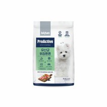 이즈칸 독 프로액티브 유산균 위장튼튼 4.6kg 강아지사료
