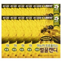 마누카 프로폴리스 목청 벌꿀캔디, 25개