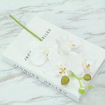 호접란 꽃 조화 난 플라워 소형 화이트 한줄기