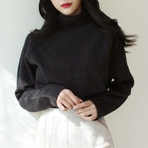 데일로엔 여성용 터틀넥 여자 니트 스웨터