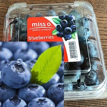 칠레 생 블루베리 생과 미국산 국산 생 블루베리 125g, 7팩, 7개