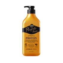 엘라스틴 프로폴리테라 안티에이징케어 건조하고 손상된 모발용 샴푸 500ml 일반샴푸, 1개