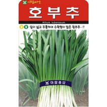 잎이 두툼하여 수확량이 많은 왕부추 호부추 2000립, 단품
