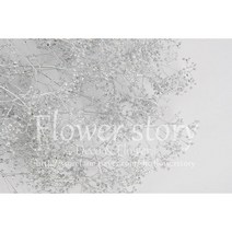 프리저브드 미니안개 실버