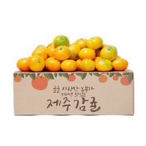 제주 햇 감귤 9kg 프리미엄과, 상세페이지 참조, 10kg