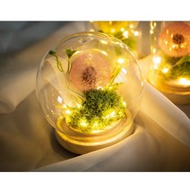 [덩크리] 원형 무드등 홀씨 민들레 감성 집안 인테리어 소품 랜턴 침대 스탠드 집들이 선물 꽃 조화 무선 LED 공예 DIY 키트, 핑크