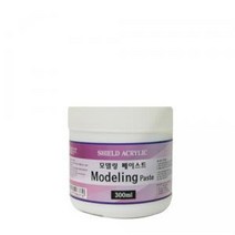쉴드 모델링 페스트 250ML
