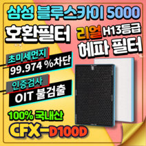 AX60M5550WFD 국산 삼성 블루스카이5000 호환 교체 필터 CFX-D100D, 일반형 [국내산 프리미엄 H13 헤파필터]