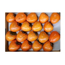 따봉이네과일 대봉감, 1box, 10, 10kg (31-40과)