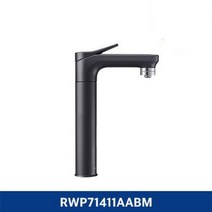 삼성전자 BESPOKE 메인 파우셋 냉온 정수기 알루 블랙 방문설치, RWP71411AABM