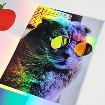 홀로그램 스티커 인쇄 프린트 라벨 용지 종이 아트지, 단품