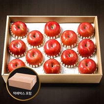 [참다올]장수사과선물세트 5kg(13-14과내)