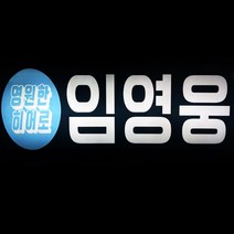 응원피켓 응원봉 재롱잔치피켓 LED플랜카드 LED피켓 콘서트 파티용품, 04-LED대피켓(40x11cm)/led색상백색