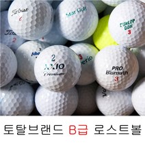 혼합브랜드 토탈브랜드 B급 로스트볼 연습장용골프공 50알