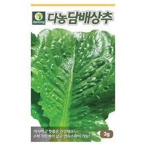 갑조네 잎줄기채소 씨앗 모음, 다농담배상추(씨앗), 1개