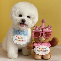 [가지가지] 강아지 생일파티 턱받이+꼬깔모 세트 생일옷 생일모자 펫 생일파티세트 강아지옷 고양이옷, C 노랑_free