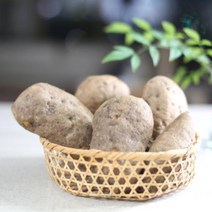 친환경 유기농 열대둥근마 황진이농장 [산지직송] 상품 2kg 3kg 5kg