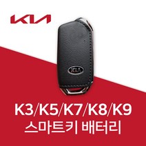 기아자동차 k9 스마트키 배터리 k3 k5 k7 k8 건전지 밧데리 차키 약 베터리, 5개