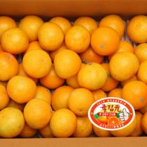 제주 귤림원 감귤 고당도 선별 프리미엄 로얄과 2.5kg 4.5kg 타이백 밀감, 중대과(L-2L) 4.5kg