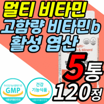 종합 비타민 활성 형 엽산 고함량 비타민 b군 c e 멀티 미네랄 성장기 어린이 청소년 임산부 출산후 수유부 남성 여성 실버 수험생 고3 올인원 영양제 비타민 b12 a b c d, 5통, 120정