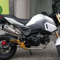 MSX125 백스텝 (16년~) P2998