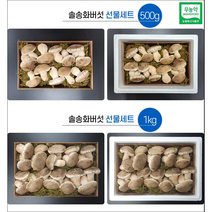 솔 송화버섯선물세트 500g 1kg(당일 출고가능), 1kg