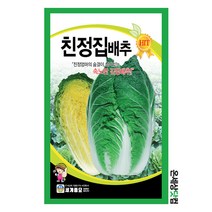 친정집배추 1000립 / 배추씨앗 김장배추 배추씨, 2000립